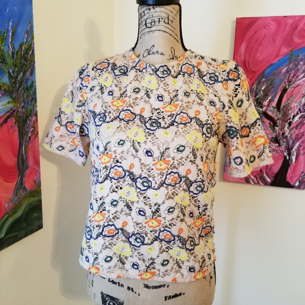 Zara lace multi colored sheer top sz M